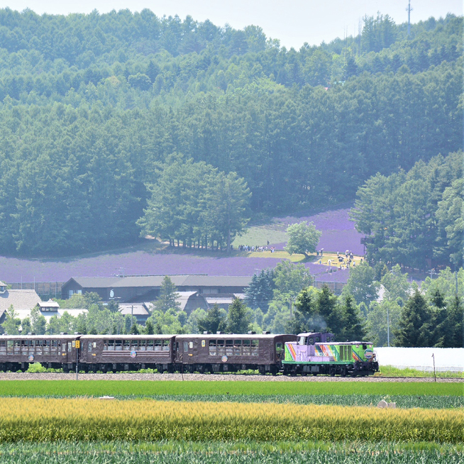 富良野・美瑛ノロッコ号