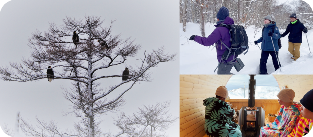 宗谷の冬アクティビティの様子