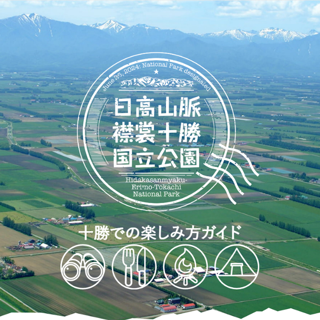 特設サイト