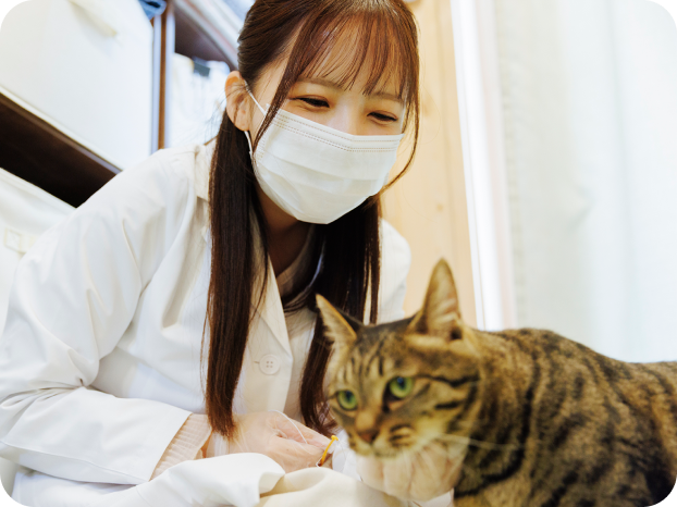 多田 萌加さんと保護猫