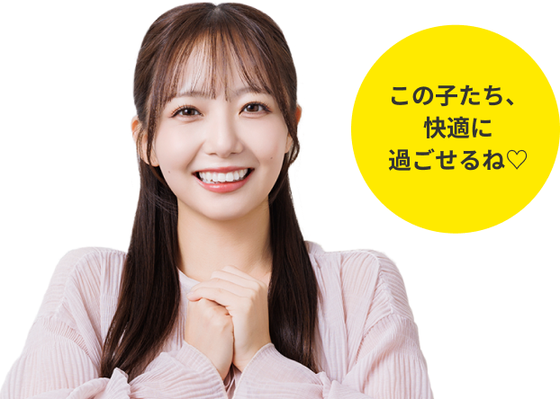 この子たち、快適に過ごせるね