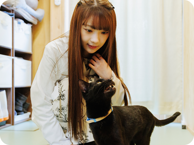 山下 彩耶さんと保護猫