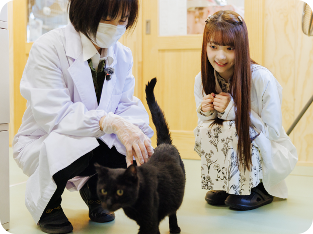 山下 彩耶さんと齊藤 さゆりさんと保護猫