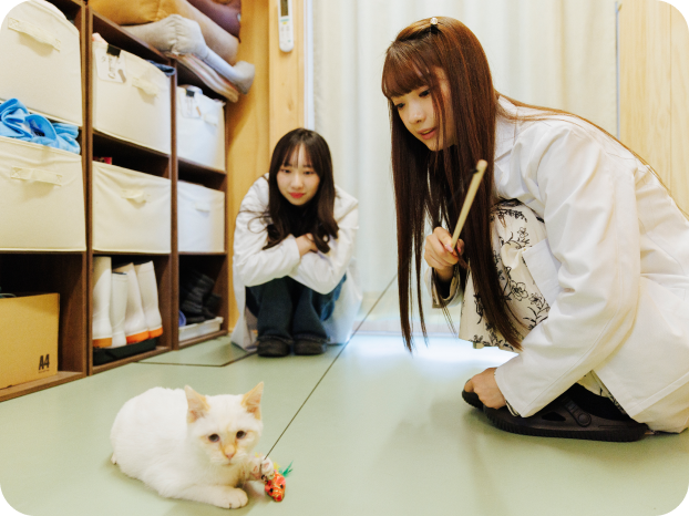 山下 彩耶さんと保護猫