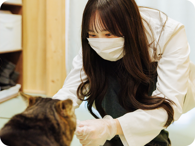 谷 乃愛さんと保護猫