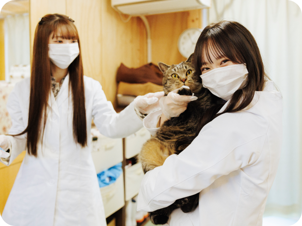 谷 乃愛さんと保護猫