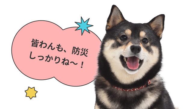 皆わんも、防災しっかりね〜！