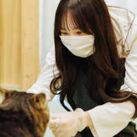 新しい家族との出会いを願って猫たちに寄り添うケア