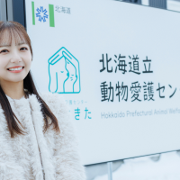 保護犬猫たちの安全と健康を守る「あいにきた」