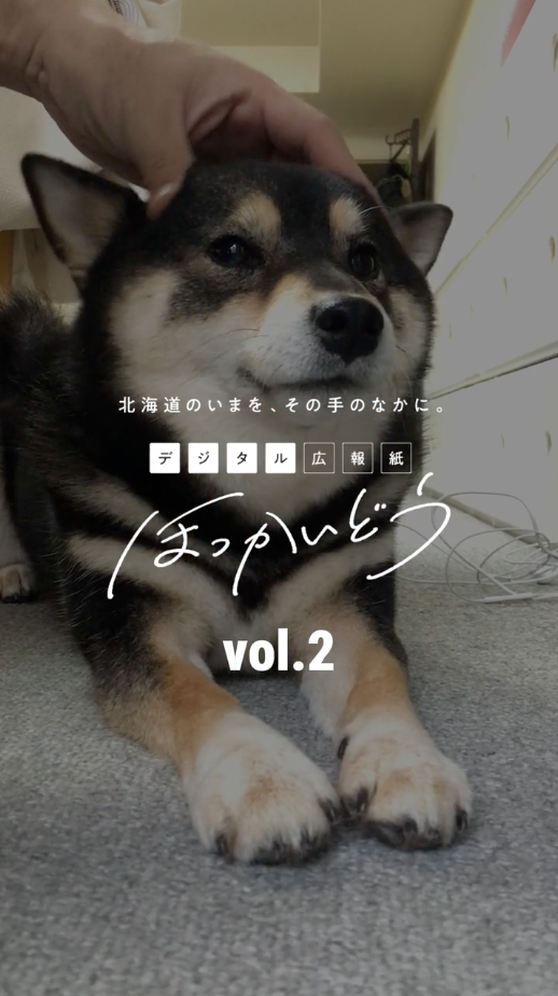 Vol.2 あいにきた特集（本編動画）_thumb